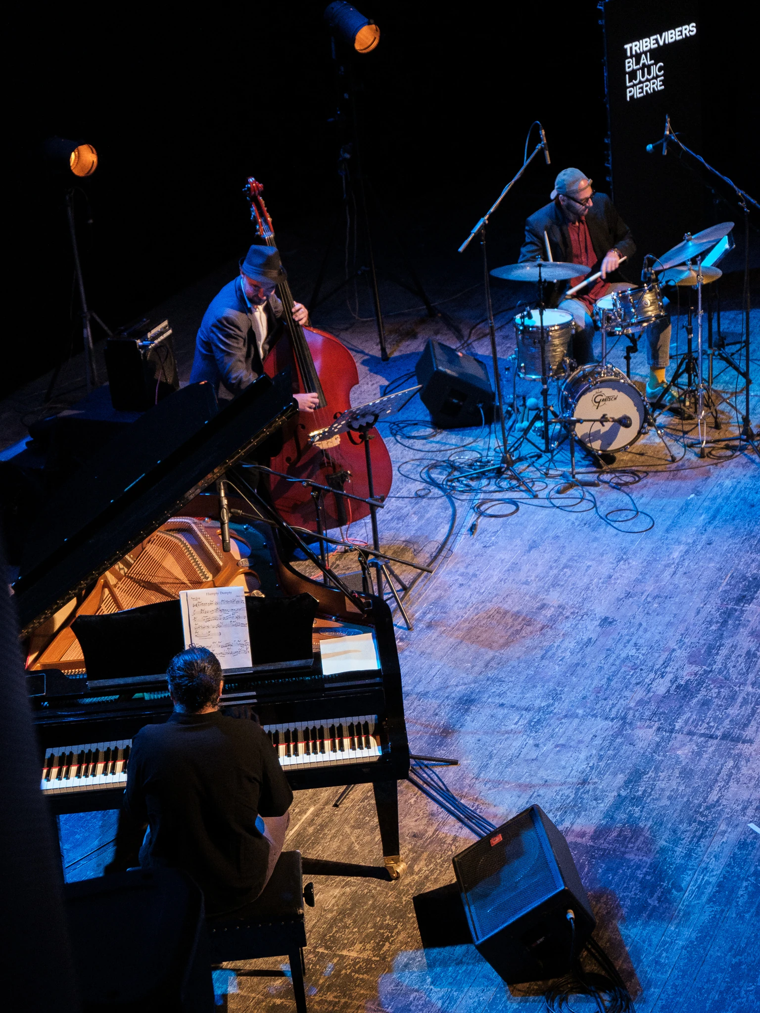 The TribeVibers seen from above during a live performance